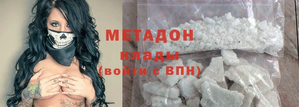 хмурый Алексин