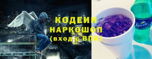 хмурый Алексин