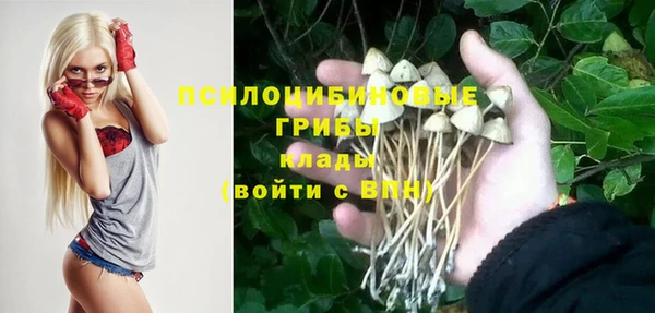 круглые Алексеевка