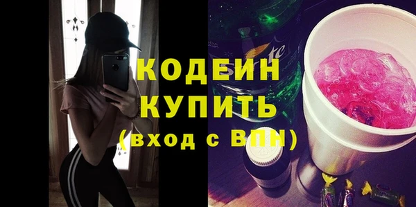 хмурый Алексин