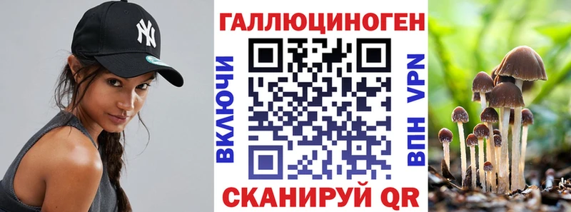 где можно купить   Шадринск  Галлюциногенные грибы MAGIC MUSHROOMS 