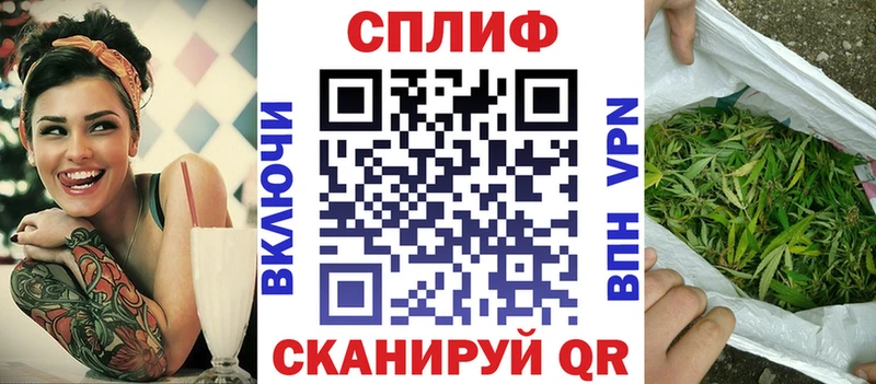 маркетплейс наркотические препараты  Шадринск  Бошки Шишки семена 